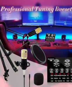 V10 Bm-800 Podcast Condenser Microphone Set With Live Sound Card
